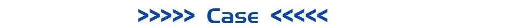 案例